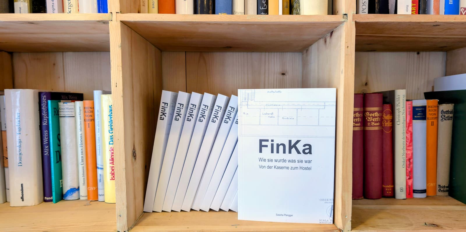 Bücherregal-FinKa-Buch (r) Bücherregal mit FinKa-Büchern