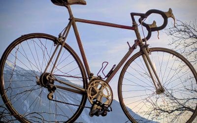 Radfahrer willkommen – Die FinKa ist Bett + Bike