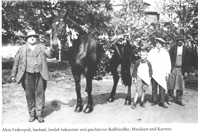 Storchn Lois – ein Vinschger Musikant.
